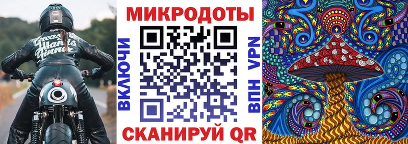 Псилоцибиновые грибы Psilocybine cubensis  Купить где  Хадыженск 