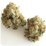 Шишки "White Widow"  (Белая вдова)  Гидропоника -  Бошка VHQ в Хадыженске